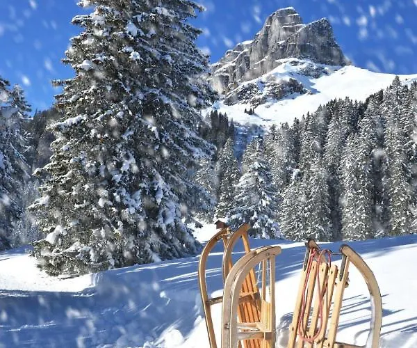 Apartment Allod Park Haus C 307 By Interhome Davos